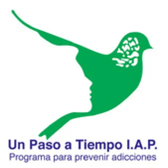 Imagen de programa Un Paso a Tiempo I.A.P.