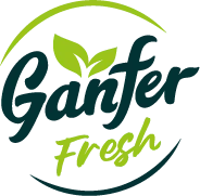 imagen de logotipo ganfer fresh